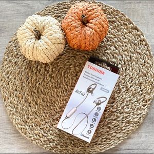 Toshiba wireless bluetooth sports earphones!